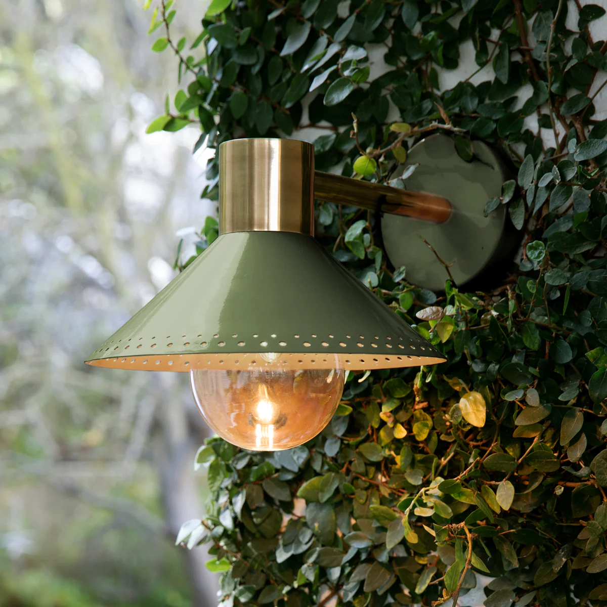 Agnes exterior wall sconce in Moss by the Novogratz - Image 2