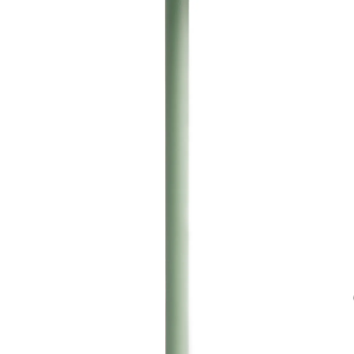 Wee Scoon cordless table lamp in watercress - Image 11